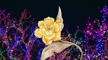  Từ mùng 6/4: 3 con giáp đón lộc tổ tiên, làm ăn hanh thông, tiền bạc dồn dập đổ về