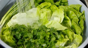 Rau tốt nhất thế giới: Mua ngay tại chợ Việt giá siêu rẻ