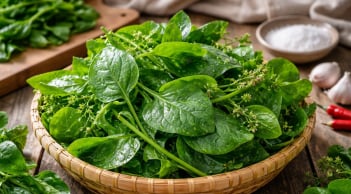 5 trường hợp nên cẩn trọng khi ăn rau mồng tơi: Tưởng lành mà không phải ai cũng hợp