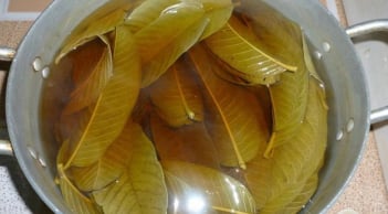 5 người tuyệt đối không nên uống nước lá ổi: Càng uống càng sinh bệnh