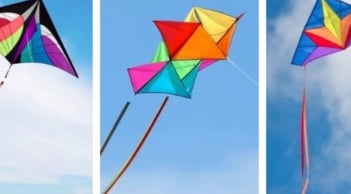 Trắc nghiệm tài chính: Khám phá bạn đang ở giai đoạn tích lũy hay bùng nổ tài lộc?