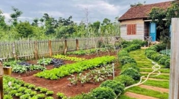 Muốn chuyển đất vườn sang đất thổ cư phải đóng những khoản tiền nào năm 2026?