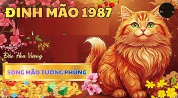 20 ngày tới Thần Tài đến muộn, 4 con giáp mở tiệc ăn mừng, tiền về như thác đổ