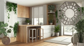 Chỉ cần đặt đúng 2 vật này trong nhà: Tưởng đơn giản nhưng lại giúp hút tài lộc, người giàu đều áp dung