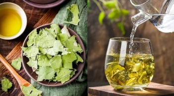 Uống nước lá sen, cơ thể nhận được 4 loại ích tuyệt vời