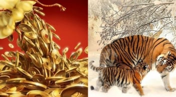 3 con giáp thời tới cản không kịp: Thứ Tư (8/4) vận đỏ rực, thứ Năm đến cuối tuần tiền đầy ví