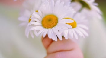  Từ 20/4-10/5: 3 tuổi được quý nhân để ý, cơ hội đổi đời đến nhanh như chớp