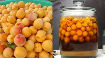 Mẹo ngâm mơ đường bằng nồi cơm điện, càng để lâu càng ngon, không bị nổi váng