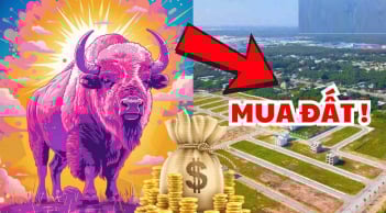 3 tháng tới 4-5-6/2026: 3 tuổi vào vận Phú Quý, làm việc lớn có người nâng đỡ