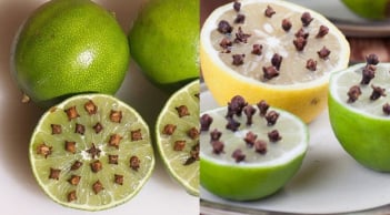 Cắm thứ này vào quả chanh và đặt ở góc nhà, muỗi nhiều mấy cũng hết sạch