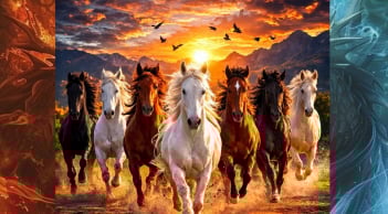  Từ nay đến cuối năm: 3 con giáp càng đi xa càng gặp cơ hội lớn, giao lưu mở lối thành công