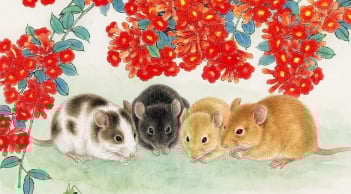 4 con giáp này nóng giận cẩn thận mất tiền Tài - Cơ Hội trong vòng 2 tháng tới