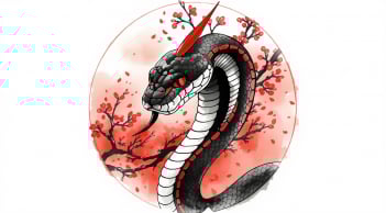 Tử vi thời gian gần đây: 4 con giáp xuất hiện tín hiệu tích cực về tài lộc