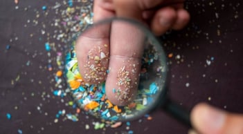 Hạt vi nhựa là gì? Tác hại khủng khiếp của vi nhựa, 5 thực phẩm chứa nhiều nhất cần tránh