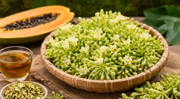 Hoa đu đủ đực tốt nhưng không phải ai cũng dùng được: 4 nhóm người cần đặc biệt cẩn trọng