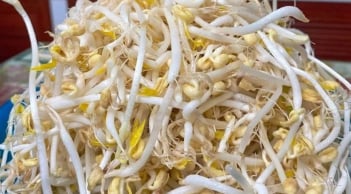 5 loại rau “vua thải độc” trong mùa nắng nóng, chợ Việt bán rất nhiều