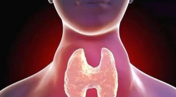 Không được ăn thịt gà khi mắc bệnh tuyến giáp? Cảnh báo 4 nhóm thực phẩm dễ gây dị ứng cần hạn chế