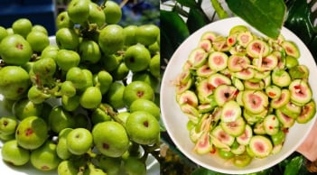 Người mắc 4 lại bệnh này ăn quả sung, cơ thể nhận được lợi ích bất ngờ