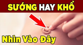 NHìn tướng rốn biết tướng lai bạn giàu sang hay thất bại
