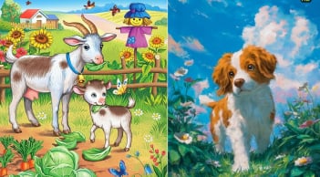 Không toan tính vẫn 'thắng đời': 3 tuổi sống thật tâm, trong khó khăn dễ gặp cơ hội