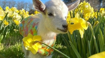 Đi sau về trước: 3 tuổi tưởng chậm mà chắc, bước vào trung niên tăng tốc mạnh, tài sản bật tăng rõ rệt