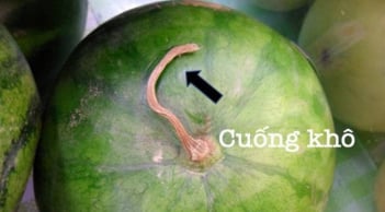 Mẹo chọn hoa quả ngày hè an toàn: 10 loại quả ngon ngọt, tươi sạch