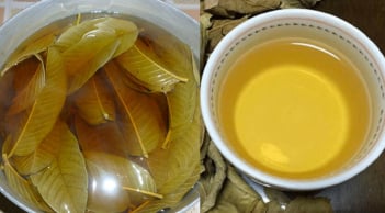 Nước lá ổi rất tốt: Có 5 nhóm người nên uống thường xuyên