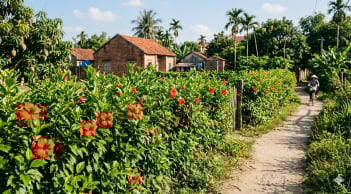Món canh “từ hàng rào” gây tò mò: Đặc sản Ninh Bình khiến du khách ăn là nhớ