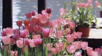 Trời không phụ lòng người: Tháng sinh của người càng chăm chỉ càng giàu, sớm hưởng hồng phúc