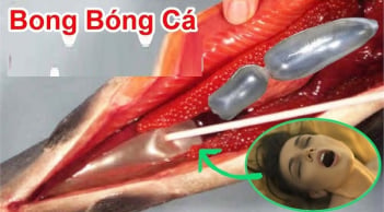 2 bộ phận quý nhất của con cá, nhiều người không biết bỏ phí