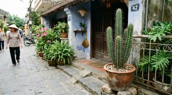 Đặt cây trước cửa tưởng vô hại: 3 loại quen thuộc lại âm thầm gây hại cho nhà bạn