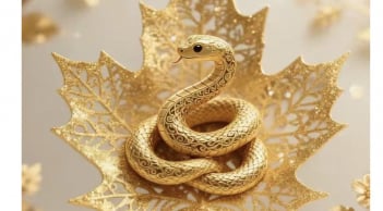 Thần Tài ưu ái: 3 con giáp bứt tốc công việc, thăng tiến mở rộng mạnh từ tháng 6 đến tháng 8
