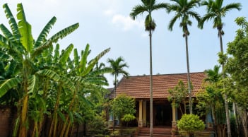 Vì sao người xưa dặn “chuối sau nhà, cau trước nhà”? Nếu đổi vị trí thì có thể ảnh hưởng gì xấu?