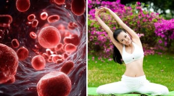 4 bộ phận trên cơ thể càng “mềm” càng sống lâu: Ai sở hữu đủ thật đáng mừng