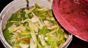 Ra chợ thấy dưa muối đựng trong thứ này: Cảnh báo nguy cơ “rước họa vào thân”