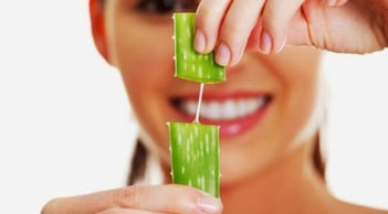 Gel lô hội không chỉ làm dịu da mà còn mang lại nhiều lợi ích cho tóc và da đầu