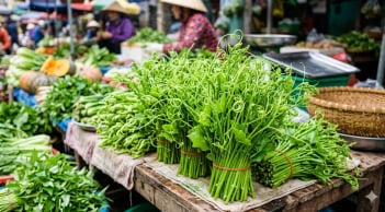 Bác sĩ Đông y gợi ý loại rau nên ăn mùa nóng: Ít calo, giàu khoáng chất, hợp cả người bị gút