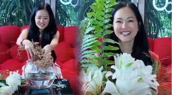 Diva Hồng Nhung bất ngờ công khai độc thân?