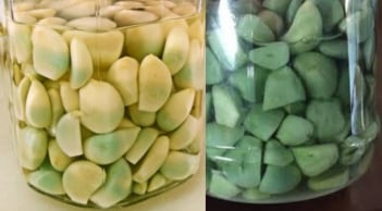 Tỏi ngâm chuyển màu xanh là vì sao, có phải do độc tố? Làm sao để tỏi ngâm trắng giòn?