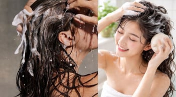 Gội đầu nên thoa dầu gội lên tóc hay lên da đầu? Nhiều người đang làm sai nên không sạch còn hại tóc