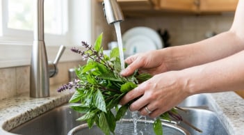 Người thích ăn rau húng quế nên biết điều này để tránh “lợi bất cập hại”