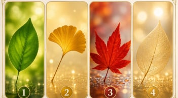 Quiz: Chiếc lá bạn yêu thích có thể tiết lộ khả năng nắm bắt cơ hội giàu có đang tới