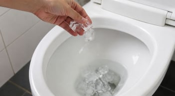 Đổ đá lạnh vào bồn cầu có tác dụng gì? Nhiều người bất ngờ, ai biết cũng muốn làm theo