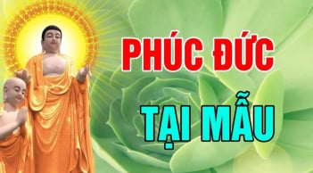 3 kiểu cha mẹ để ại phúo báo cho con: Đó là kiểu nào?