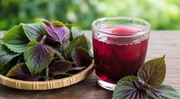 Cách uống nước tía tô giảm cân nhanh đốt mỡ thừa trong 1 tuần