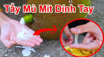 Nhựa mít dính đầy tay hay dao rửa mãi không sạch: Chỉ cần làm cách đơn giản này, 5 phút là sạch bong