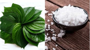 8 công dụng ít người biết từ lá trầu không: Điều thứ 2 ai cũng muốn thử một lần