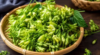 Cách dùng hoa thiên lý giúp ngủ ngon, thanh nhiệt