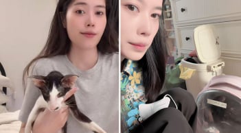 Nam Em gây phẫn nộ vì mèo cưng, Anthropic lại gây sốt với pet AI