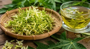 Những người nên cẩn thận với hoa đu đủ đực: Không phải dùng càng nhiều càng tốt